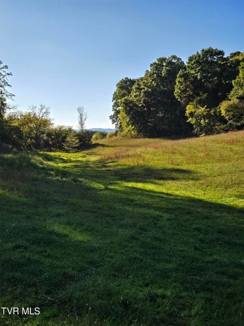 Photo #12: Tbd Old Baileyton Road