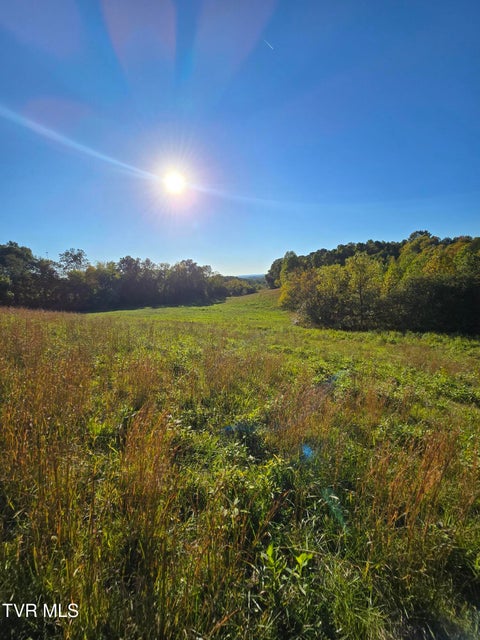 Photo #13: Tbd Old Baileyton Road