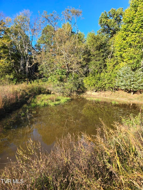 Photo #14: Tbd Old Baileyton Road