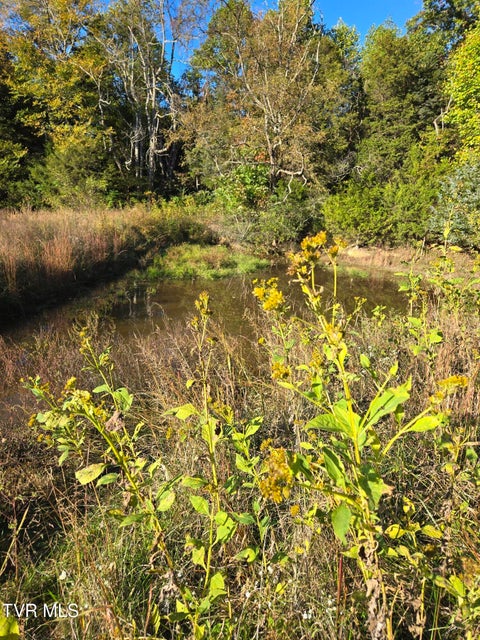 Photo #15: Tbd Old Baileyton Road