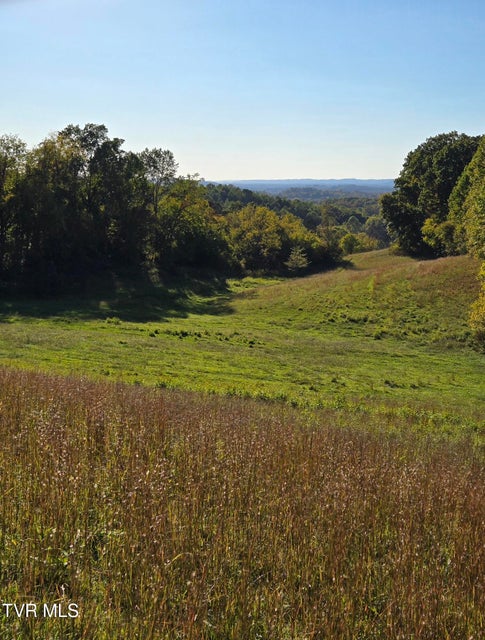 Photo #16: Tbd Old Baileyton Road