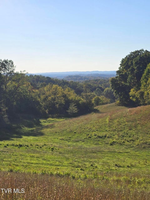 Photo #17: Tbd Old Baileyton Road