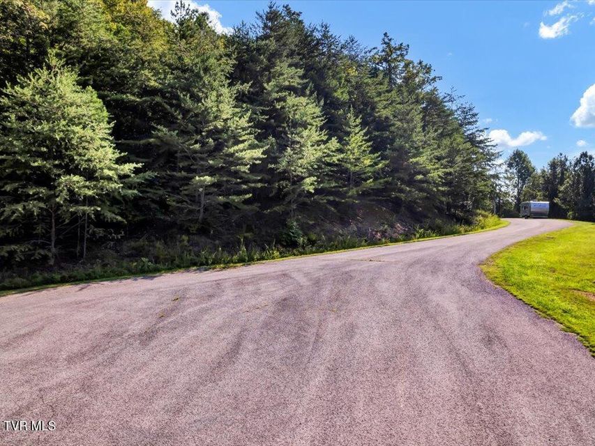 Photo #2: Lot 508 Hidden Springs Road