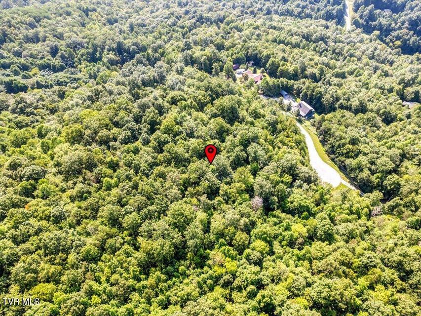 Photo #19: Lot 508 Hidden Springs Road