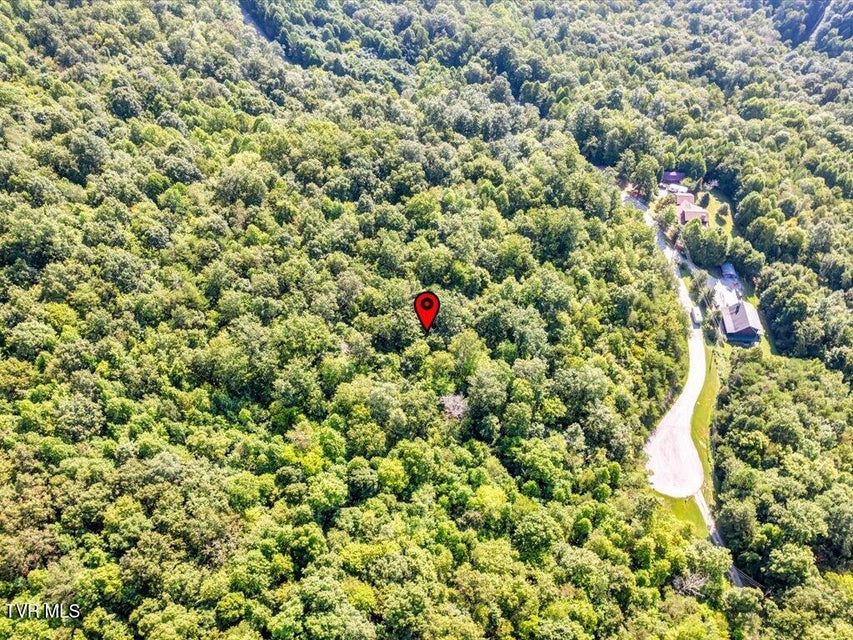 Photo #20: Lot 508 Hidden Springs Road