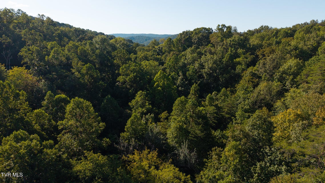 Photo #2: 32.38 Ac Off Panther Creek Road