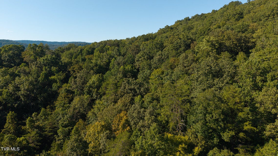 Photo #3: 32.38 Ac Off Panther Creek Road