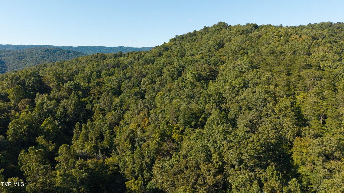 Photo #4: 32.38 Ac Off Panther Creek Road