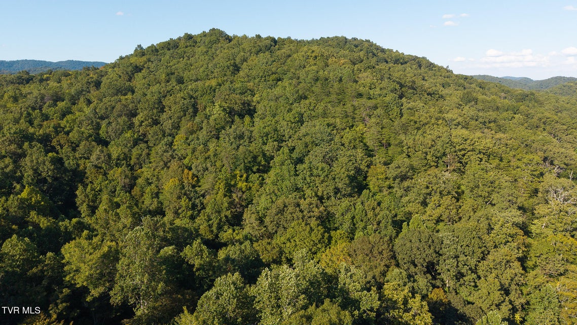 Photo #5: 32.38 Ac Off Panther Creek Road