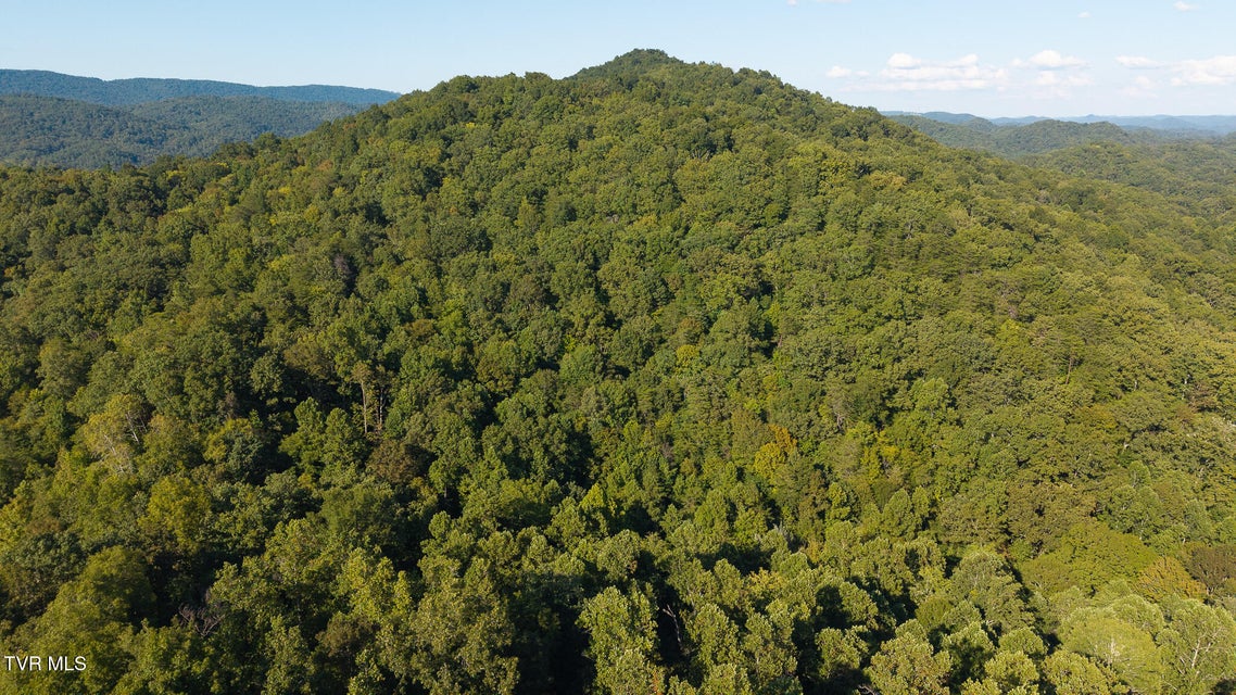 Photo #6: 32.38 Ac Off Panther Creek Road