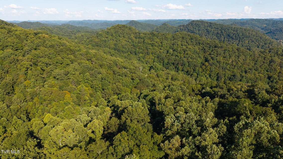 Photo #7: 32.38 Ac Off Panther Creek Road