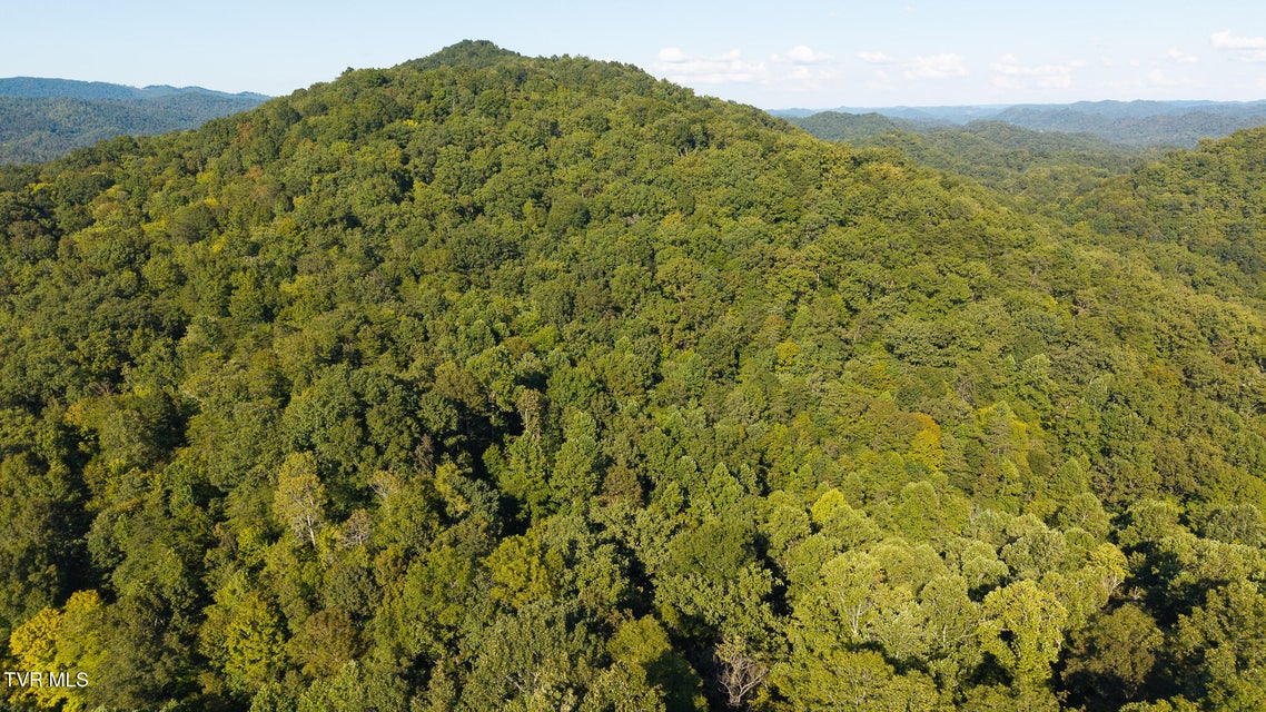 Photo #8: 32.38 Ac Off Panther Creek Road