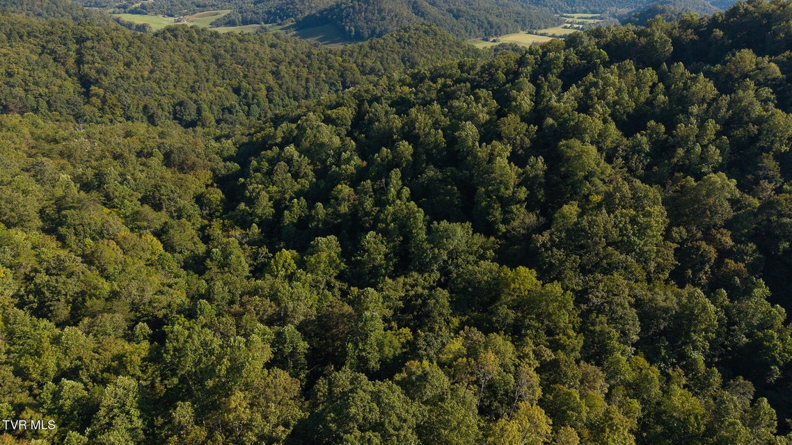 Photo #9: 32.38 Ac Off Panther Creek Road