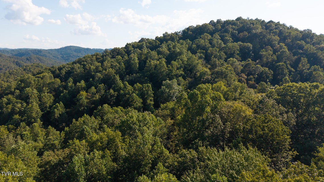 Photo #10: 32.38 Ac Off Panther Creek Road