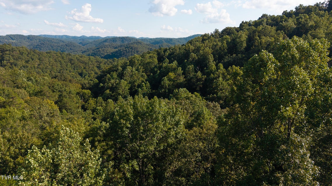 Photo #11: 32.38 Ac Off Panther Creek Road