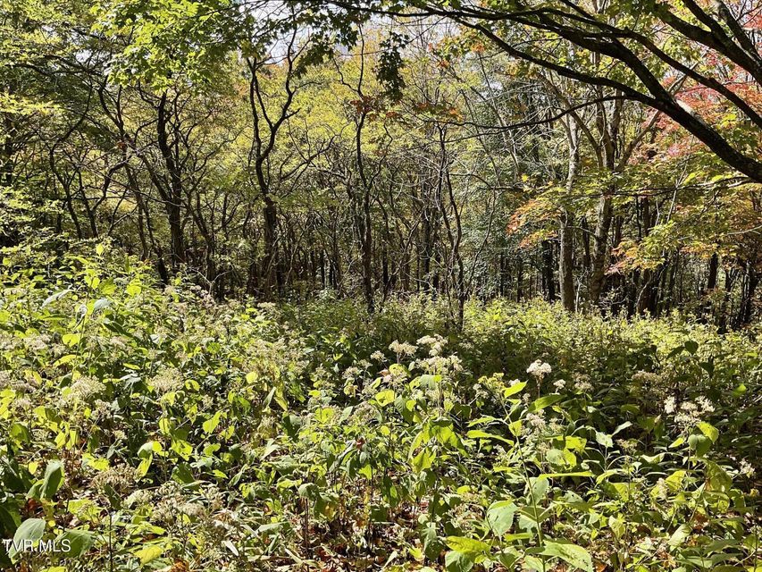 Photo #5: Tbd Modock Northeast Road