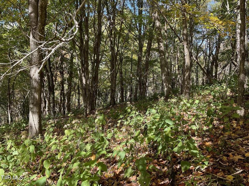 Photo #6: Tbd Modock Northeast Road