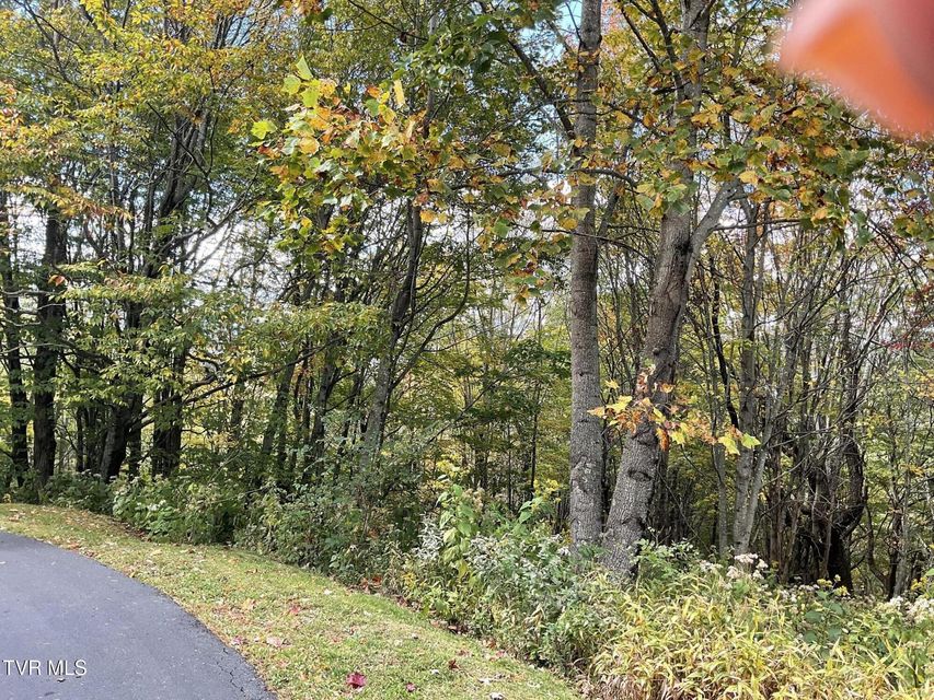 Photo #4: Tbd Modock Northeast Road