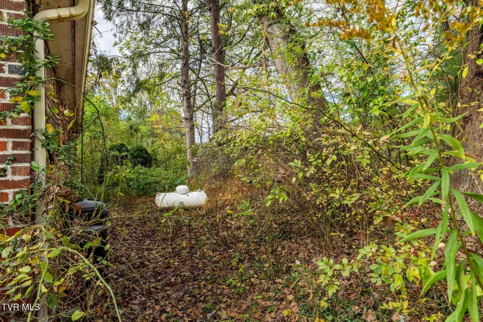 Photo #12: 2305 Lumpkin Branch Road