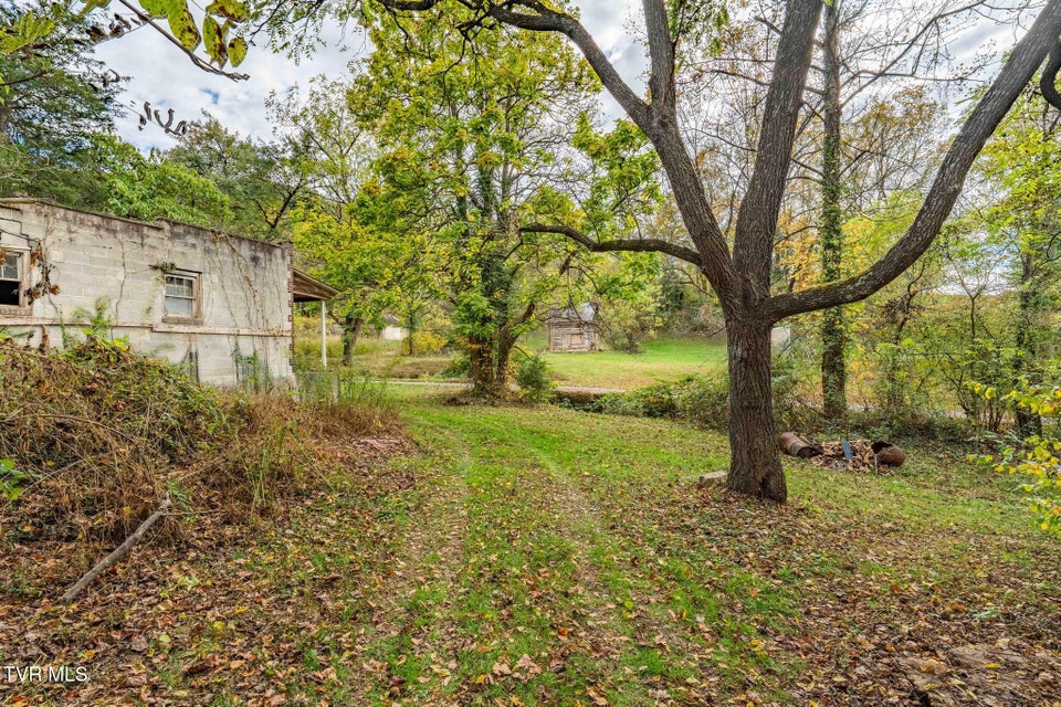 Photo #15: 2305 Lumpkin Branch Road