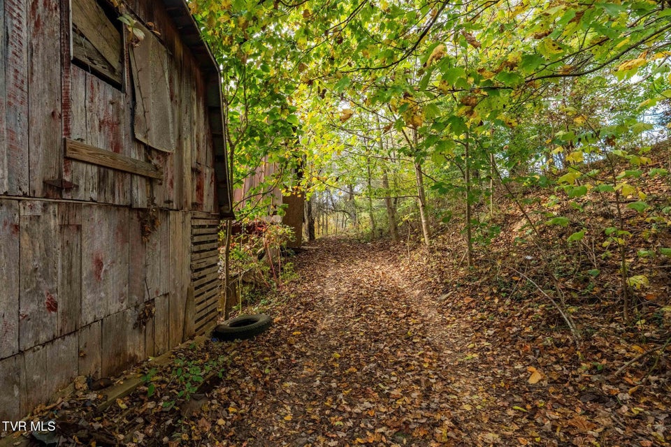 Photo #16: 2305 Lumpkin Branch Road