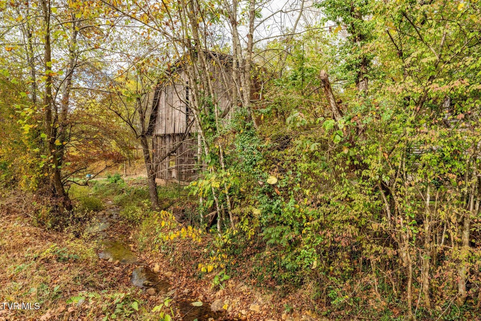 Photo #20: 2305 Lumpkin Branch Road