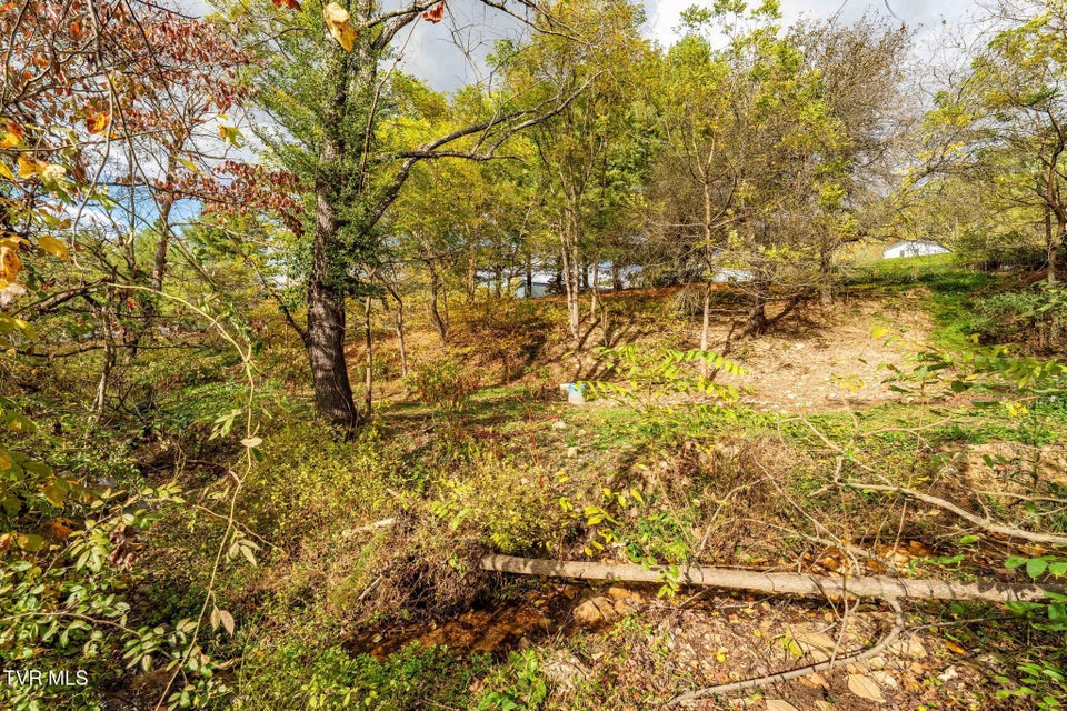 Photo #22: 2305 Lumpkin Branch Road