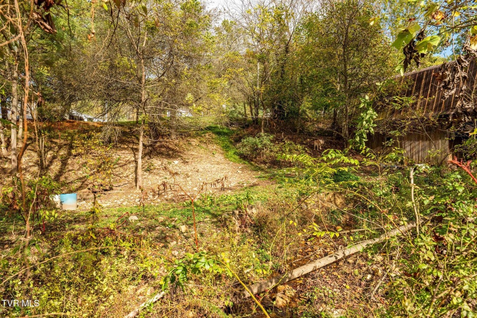 Photo #23: 2305 Lumpkin Branch Road