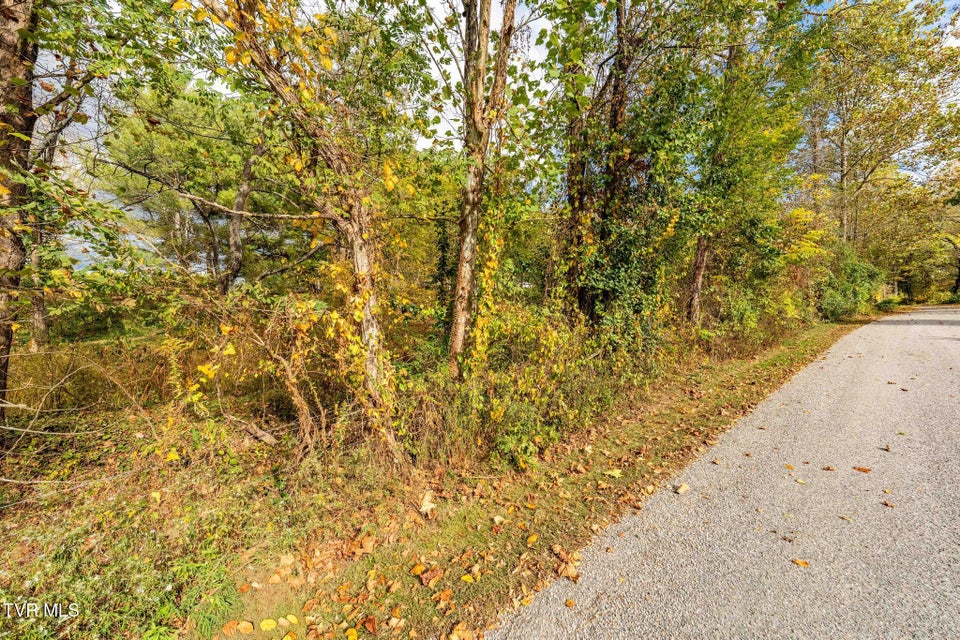 Photo #24: 2305 Lumpkin Branch Road