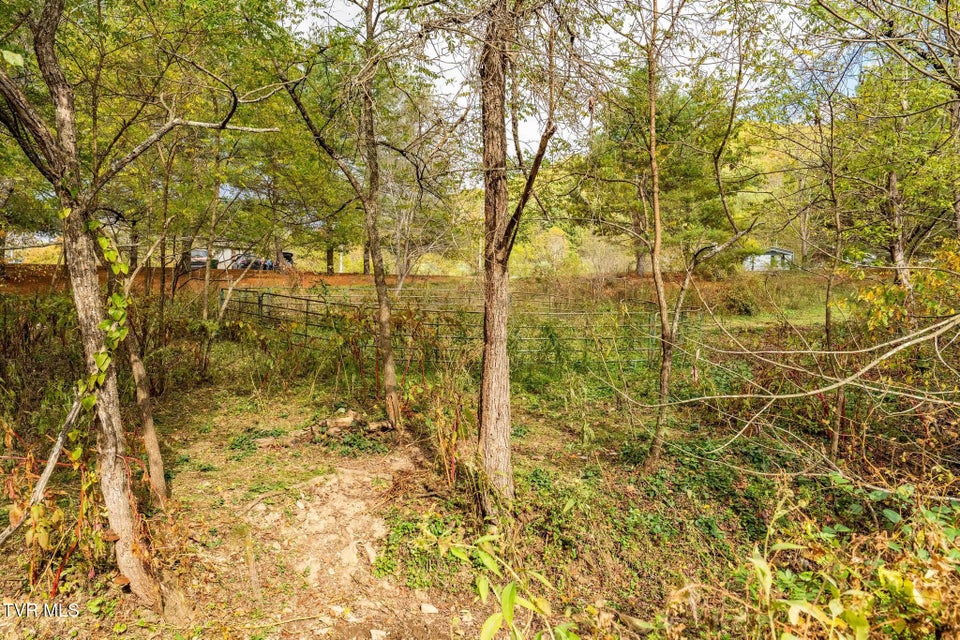 Photo #25: 2305 Lumpkin Branch Road