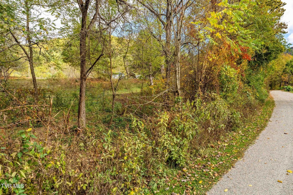 Photo #26: 2305 Lumpkin Branch Road