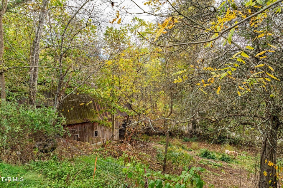 Photo #27: 2305 Lumpkin Branch Road