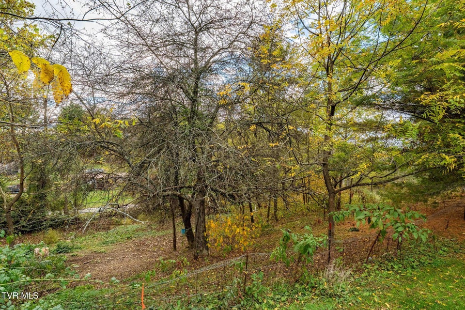 Photo #28: 2305 Lumpkin Branch Road