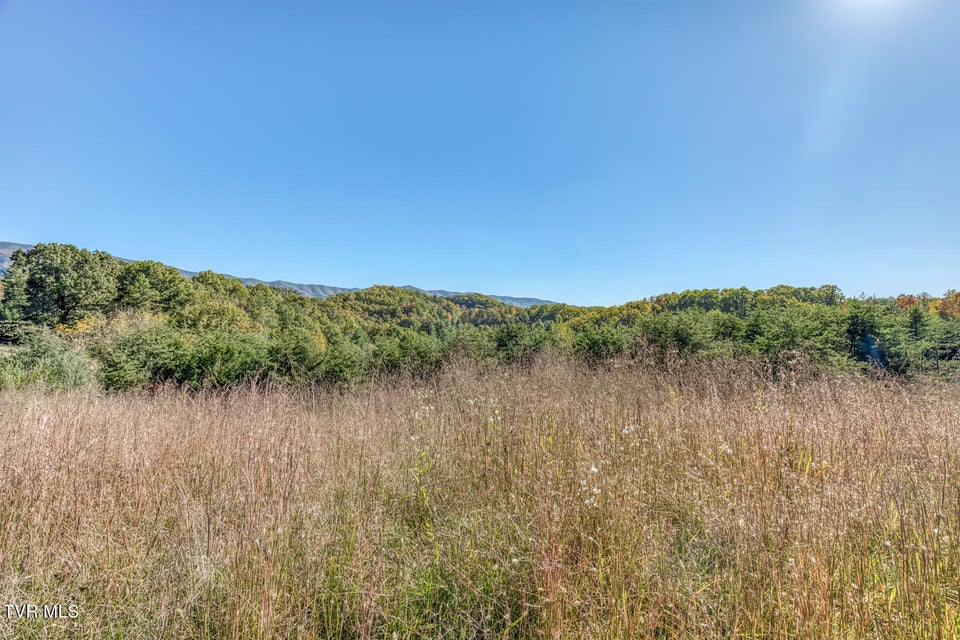 Photo #39: 441 Turner Road