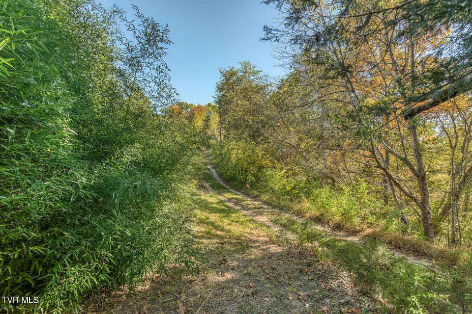 Photo #44: 441 Turner Road