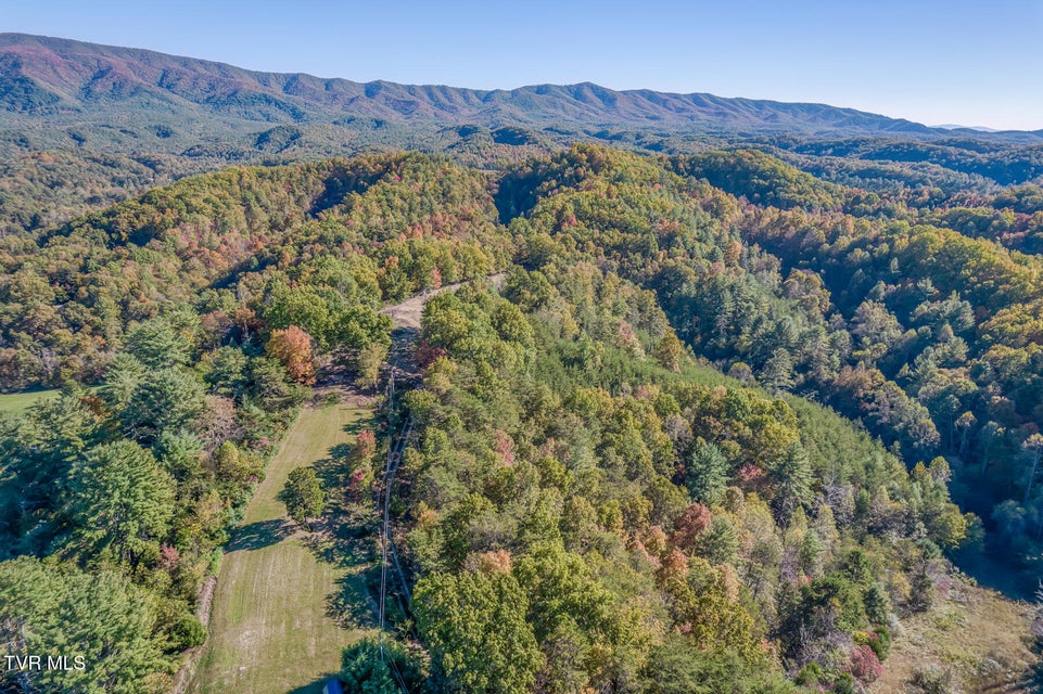 Photo #50: 441 Turner Road