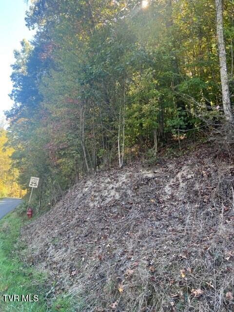 Photo #4: 000 Cave Springs Road