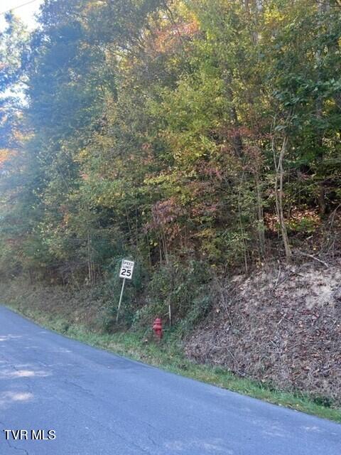 Photo #5: 000 Cave Springs Road