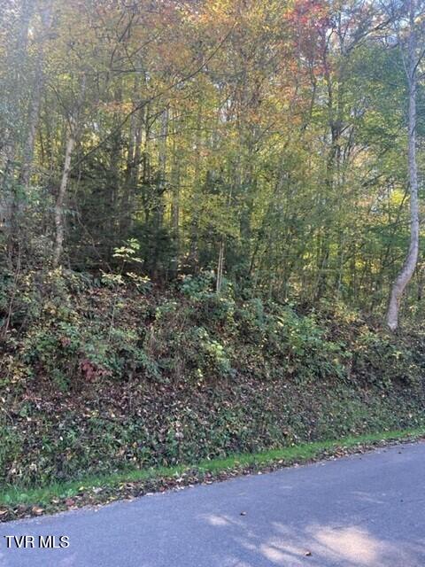 Photo #7: 000 Cave Springs Road