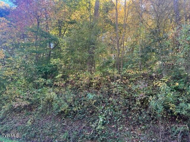 Photo #8: 000 Cave Springs Road