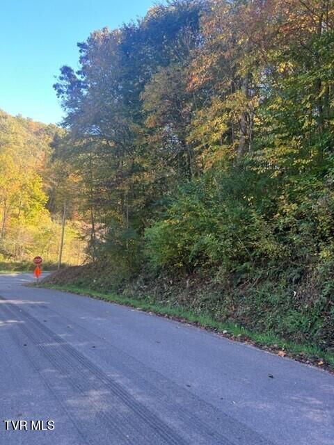 Photo #9: 000 Cave Springs Road