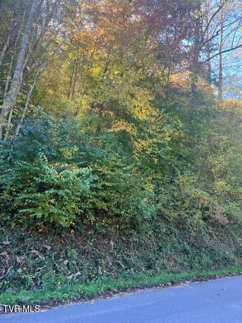 Photo #11: 000 Cave Springs Road