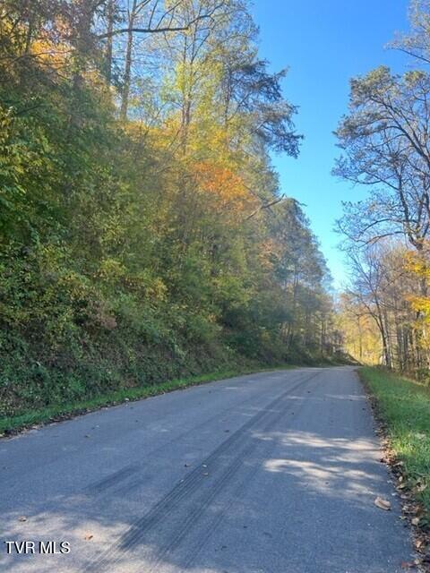 Photo #12: 000 Cave Springs Road