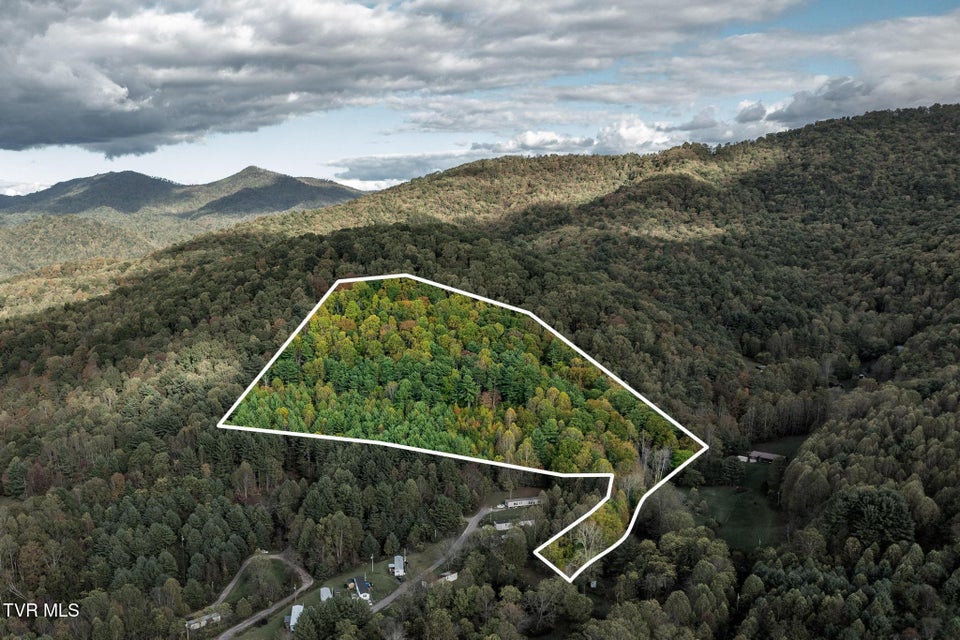 Photo #3: Tbd Lumpkin Branch Road