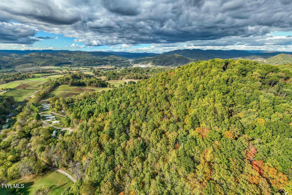 Photo #10: Tbd Lumpkin Branch Road