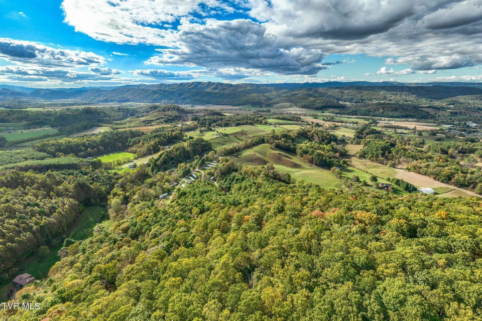 Photo #11: Tbd Lumpkin Branch Road