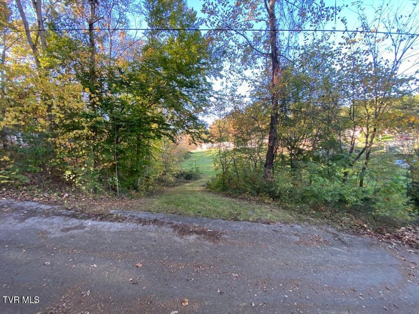 Photo #7: 338 Citation Circle