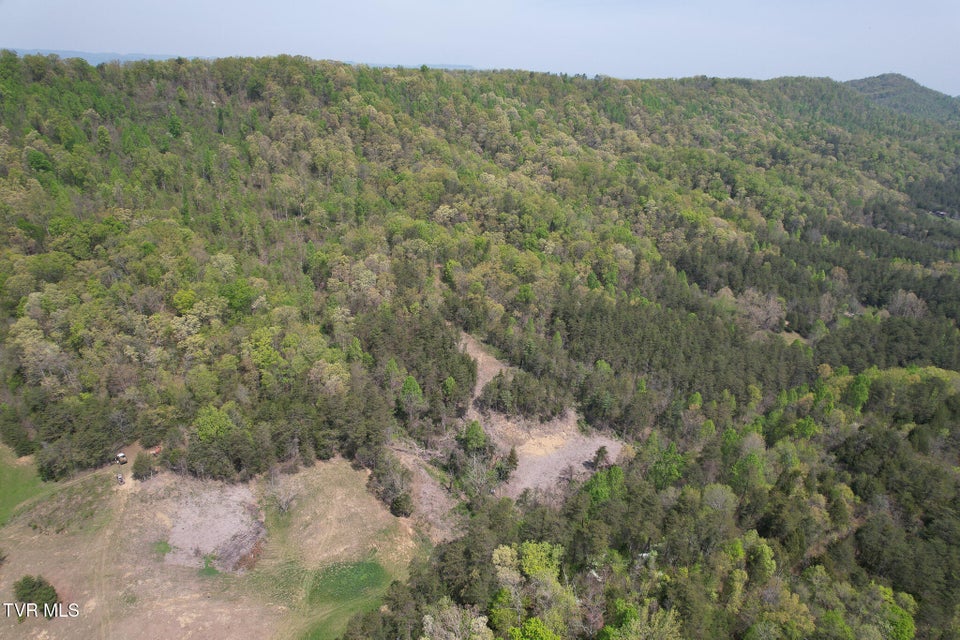 Photo #3: 0 Coy Bradley Lane