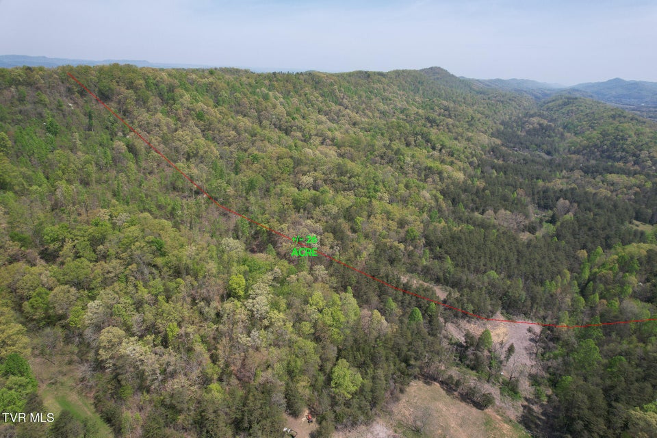 Photo #4: 0 Coy Bradley Lane