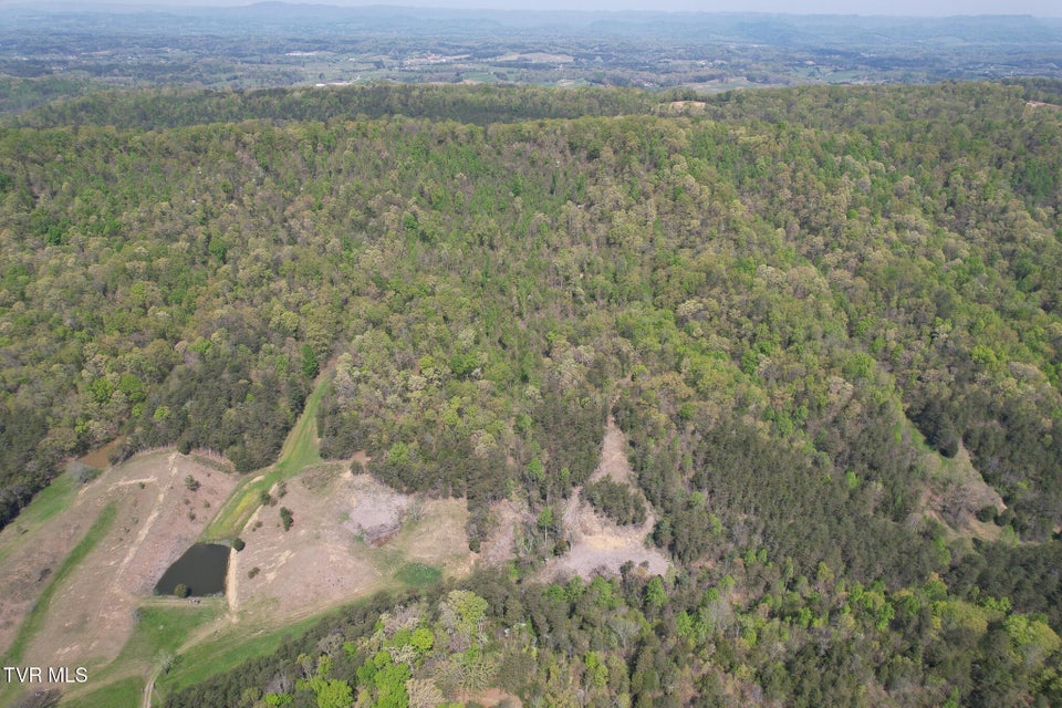 Photo #6: 0 Coy Bradley Lane